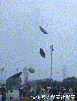 t010c2db58c26e6a44a.gif